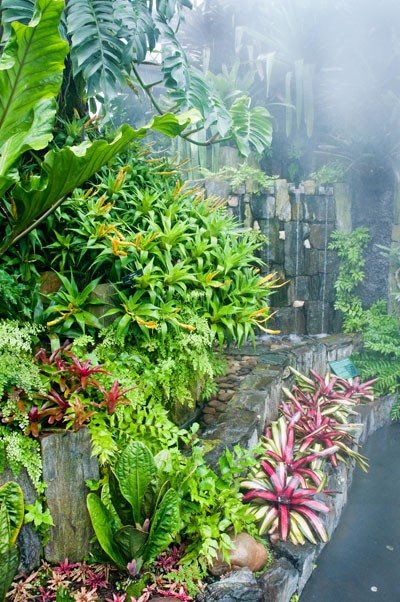 Cascade Garden at Longwood Gardens