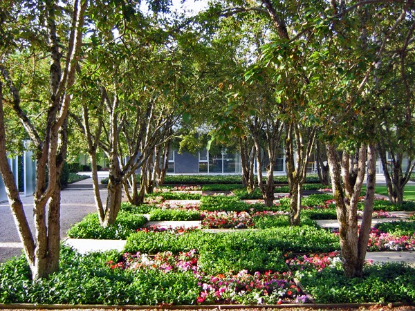 Miller Garden | TCLF