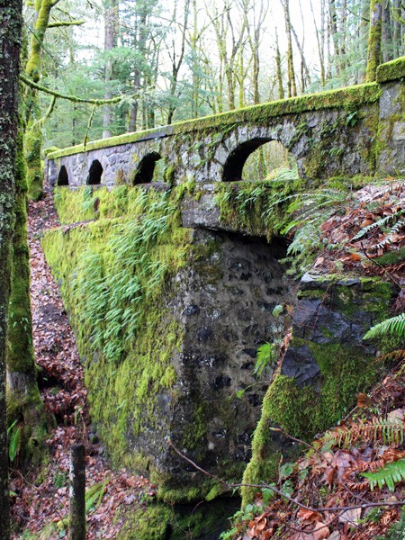 Historic Columbia River Highway TCLF