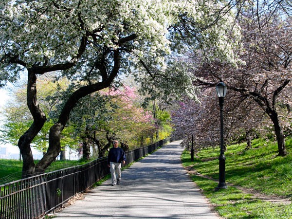 洋楽 Walkin' Large / Riverside Pictures Riverside Pictures | Walkin' Large | 90s Tapes