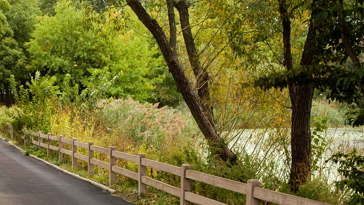 AlleyPondPark_feature1_cNYCParksRec.jpg Alley Pond Park, Queens, NY