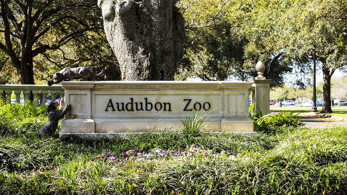 Audubon Zoo Logo