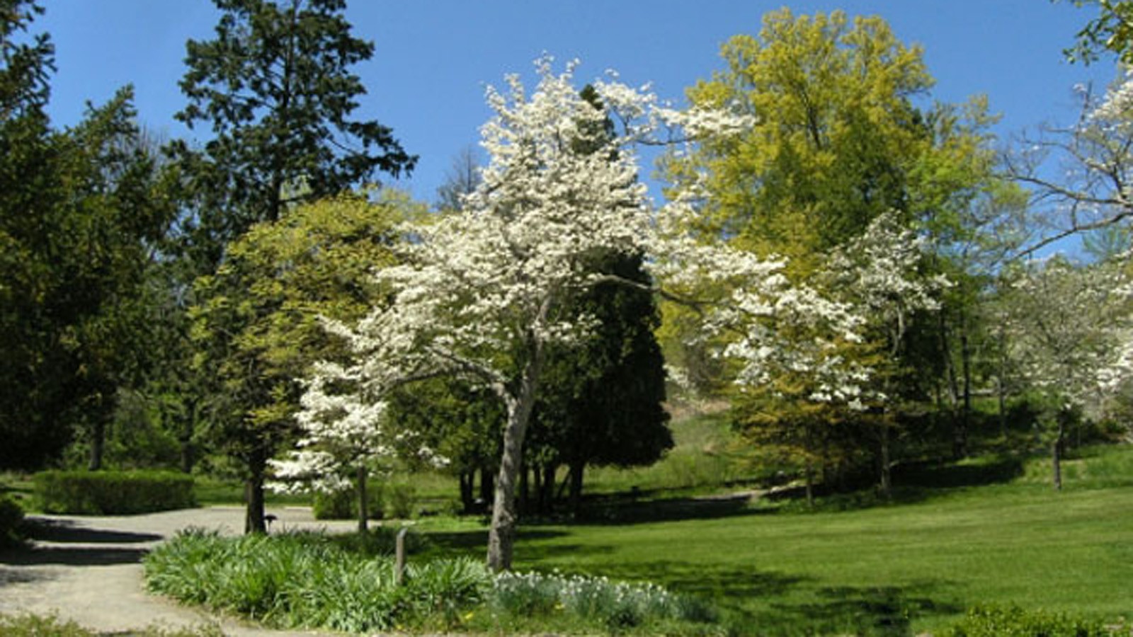 Martha Brookes Hutcheson TCLF