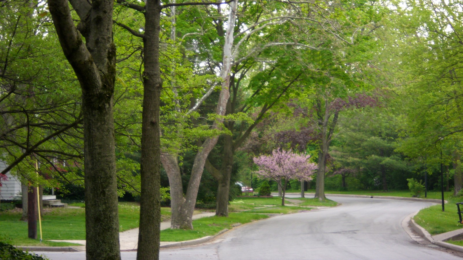 BrookviewNeighborhood_feature_01.jpg