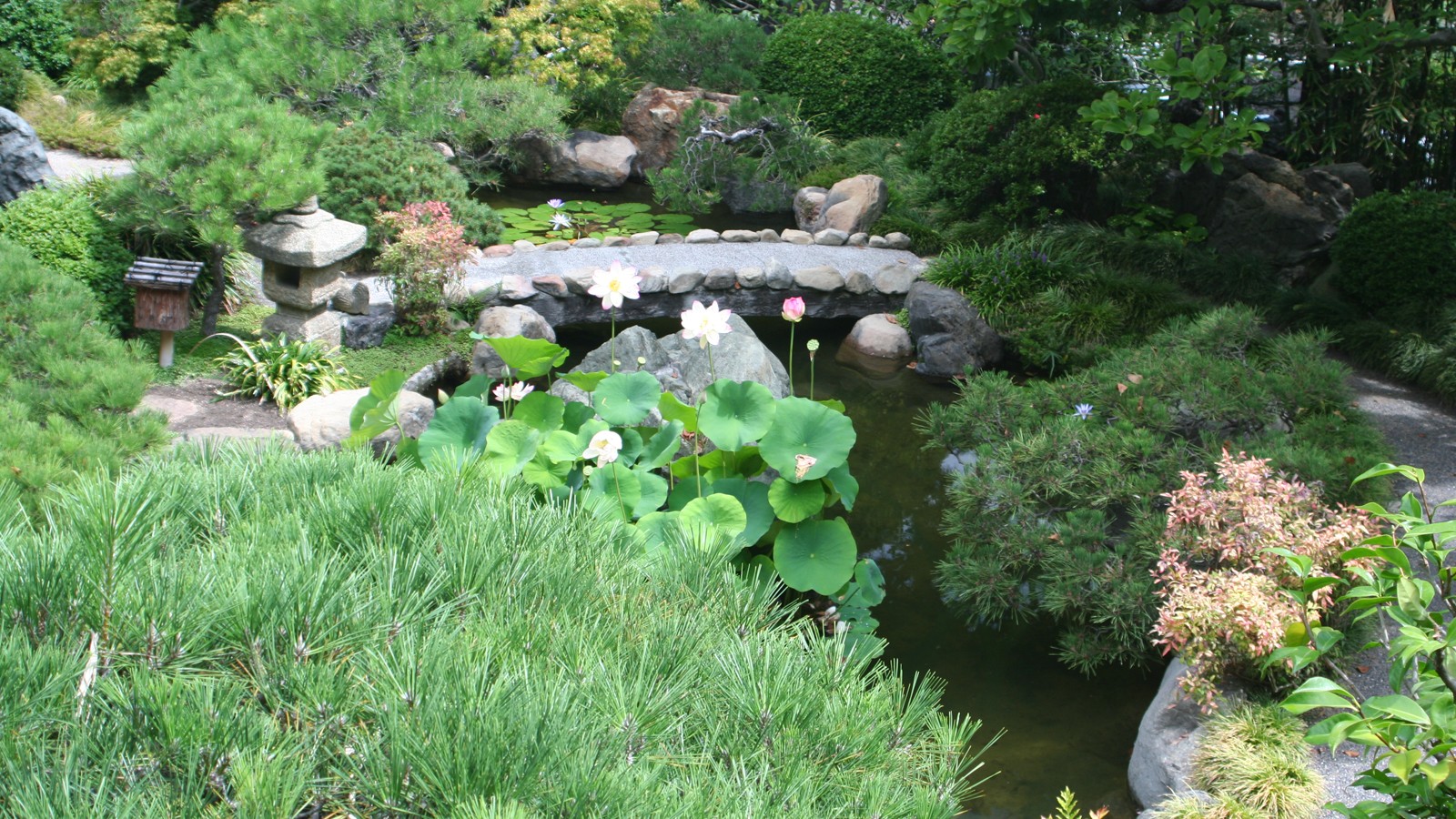 Hannah Carter Japanese Garden