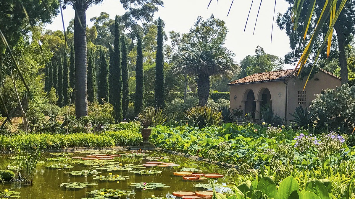 Lotusland store
