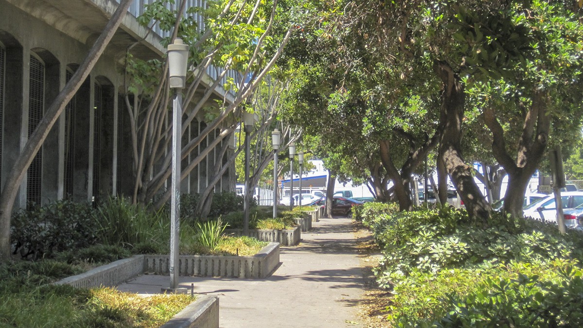 civic-center-plaza-tclf