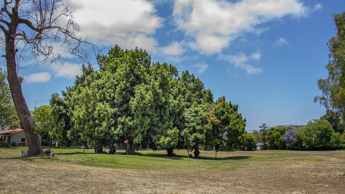 Presidio Hills Golf Course TCLF