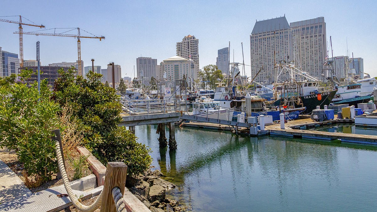 Tuna Harbor Park TCLF