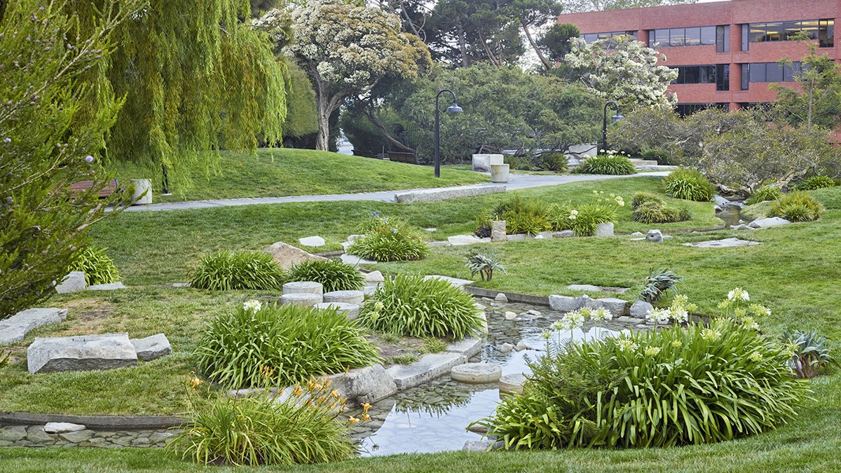Levi's plaza park new arrivals