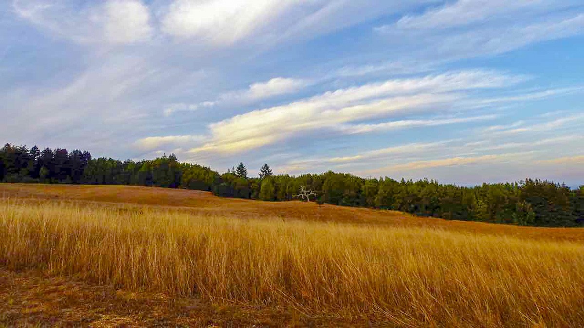 University of California - Santa Cruz, Santa Cruz, CA