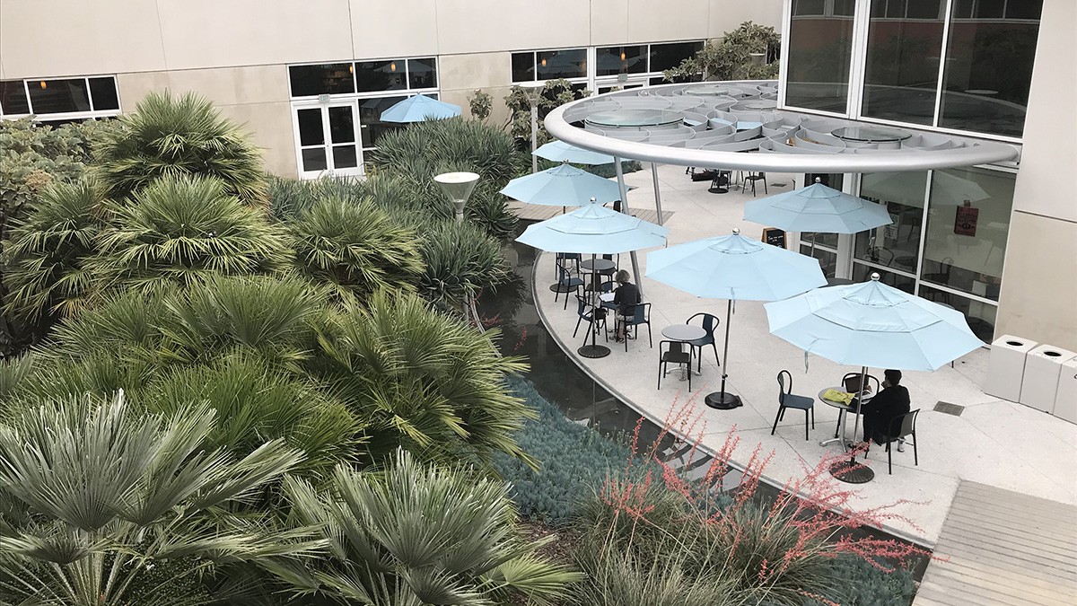 Santa Monica Public Library | TCLF