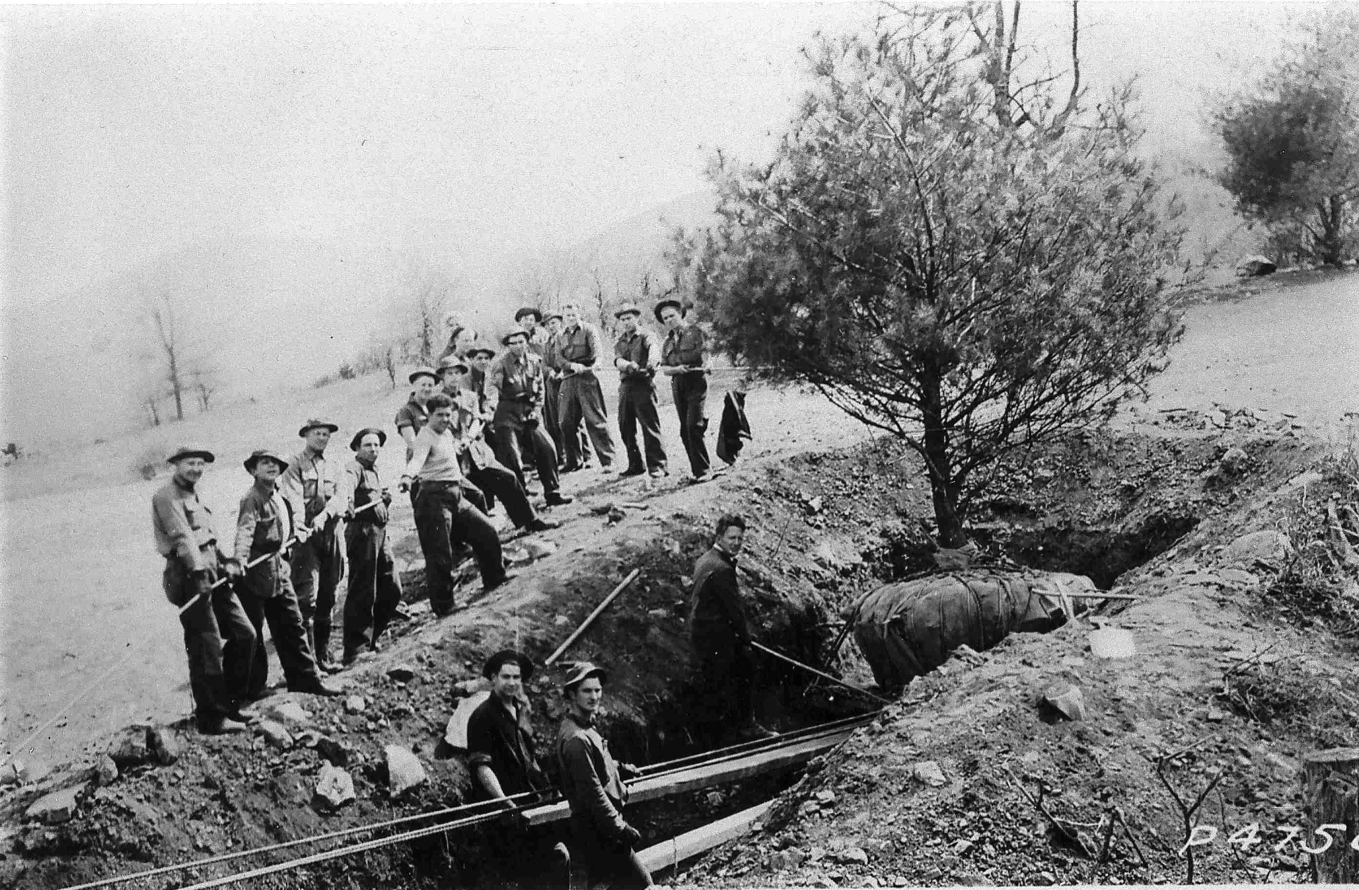 Civilian Conservation Corps workers transplanting a tree