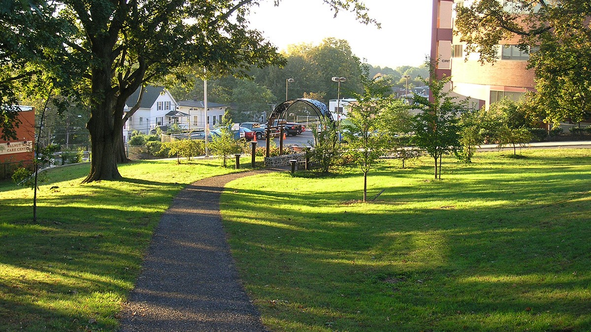 Walnut Hill Park Concerts 2025