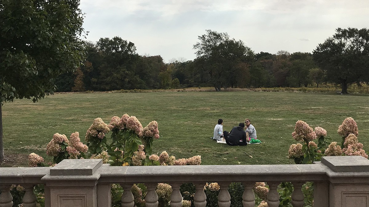 Waveny Park TCLF