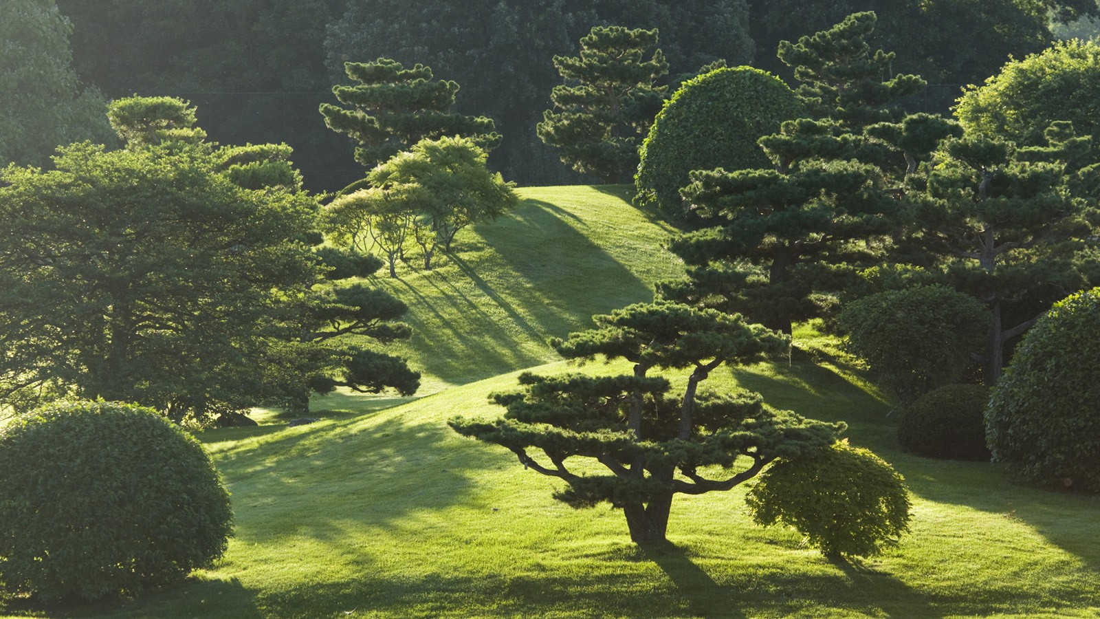 Chicago Botanic Garden - Photo courtesy the Chicago Botanic Garden