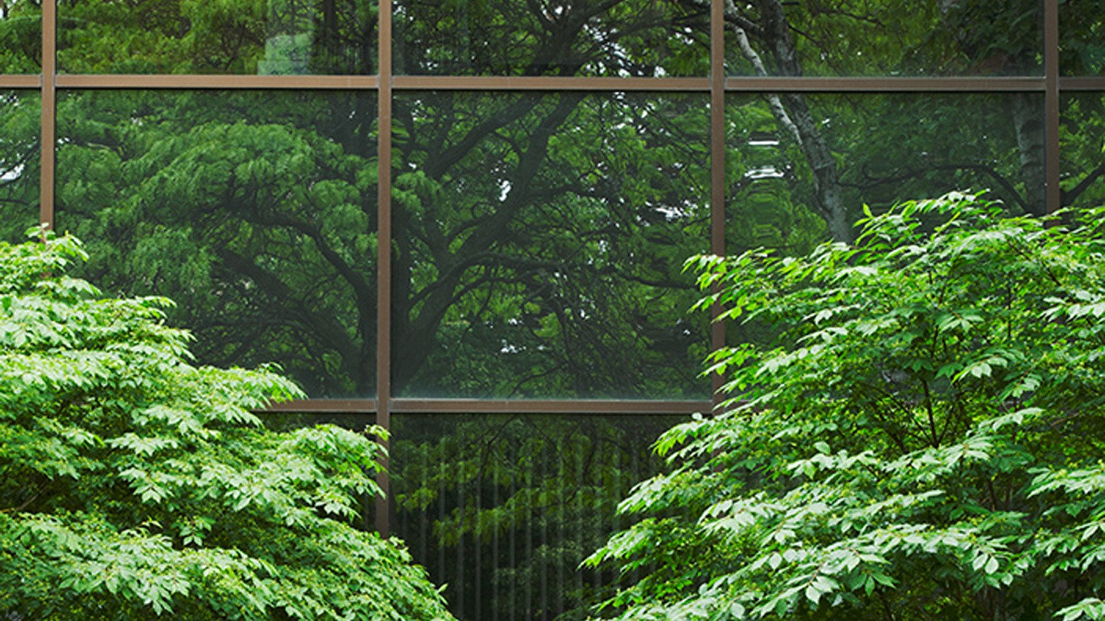 CurtainWall_Feature_03_EddeeDaniel.jpg Curtain Wall, from Synechdoce:the fragment that represents the whole - Photo © Eddee Daniel