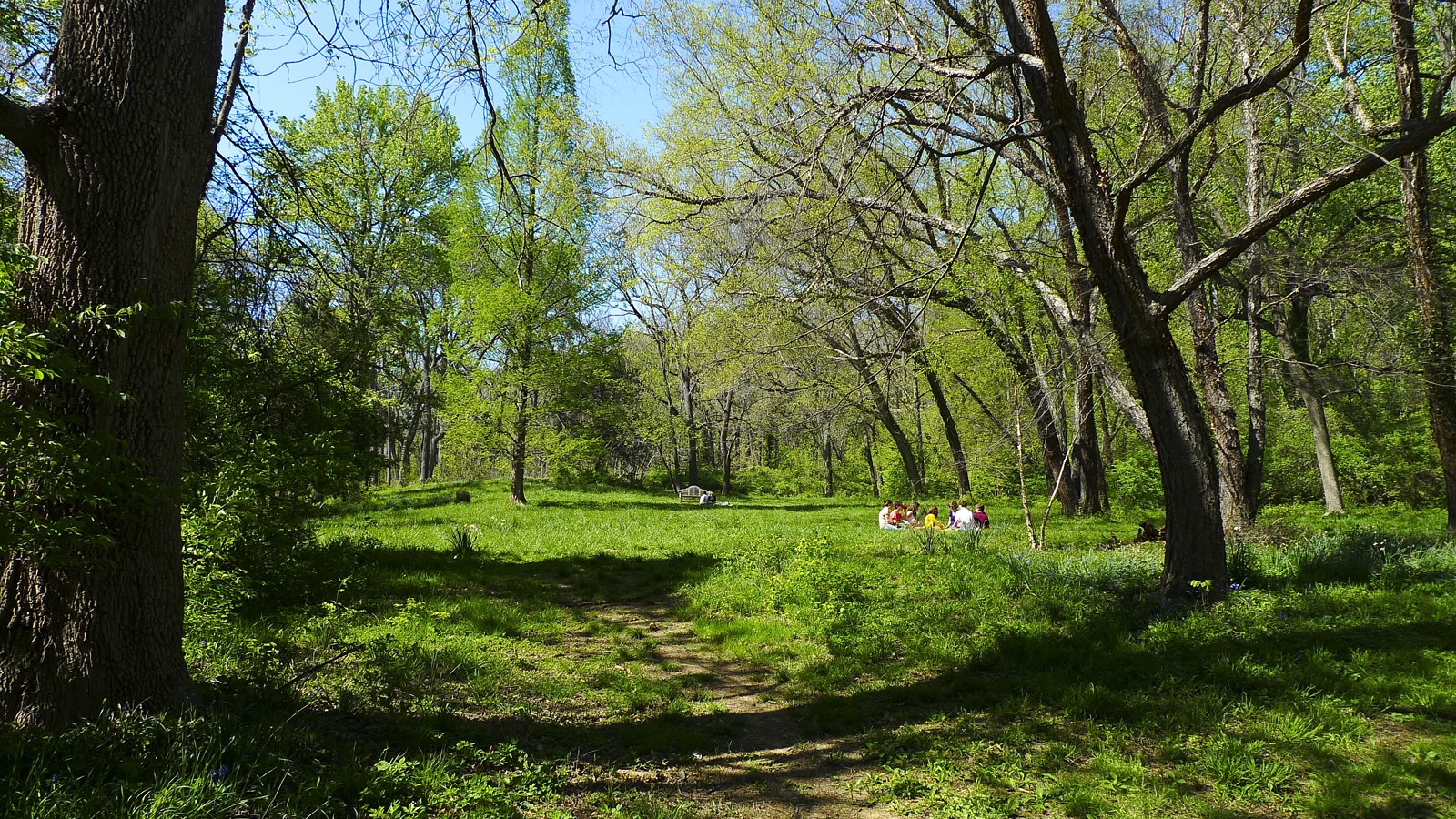 Dumbarton Oaks Park, designed by Beatrix Farrand