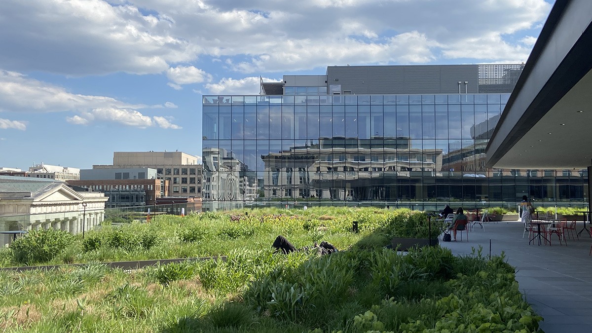 Martin Luther King, Jr. Library | TCLF