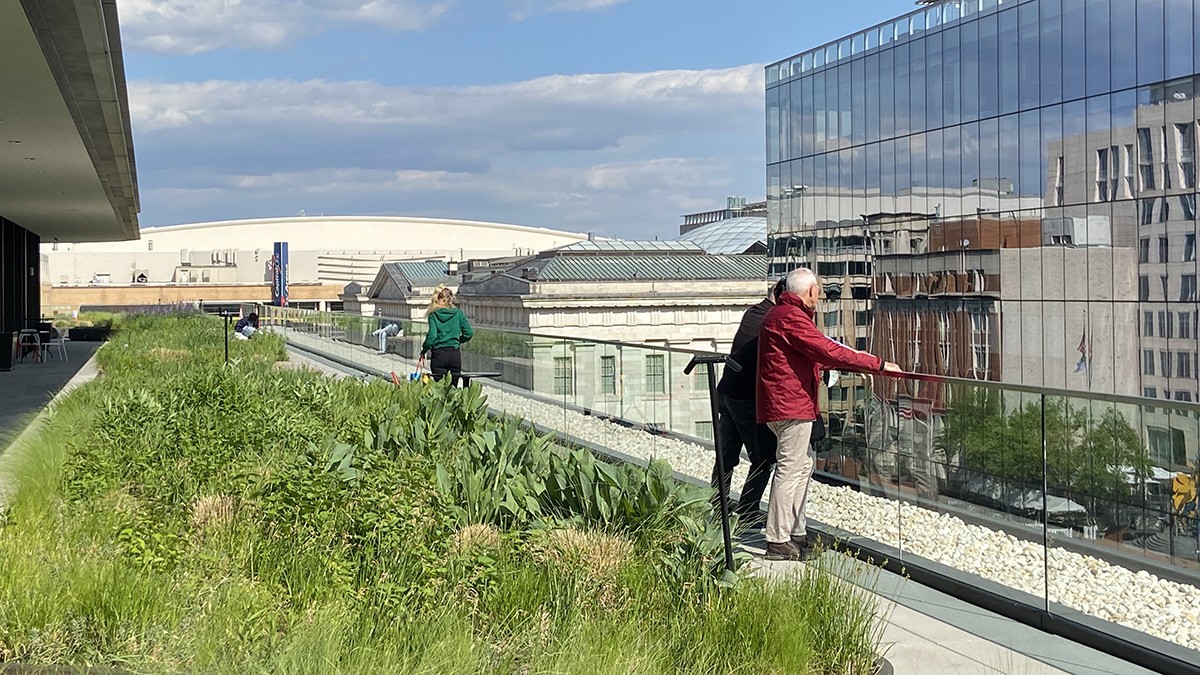 Martin Luther King, Jr. Library | TCLF