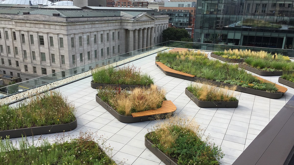 MLK  Martin Luther King, Jr. Library | TCLF