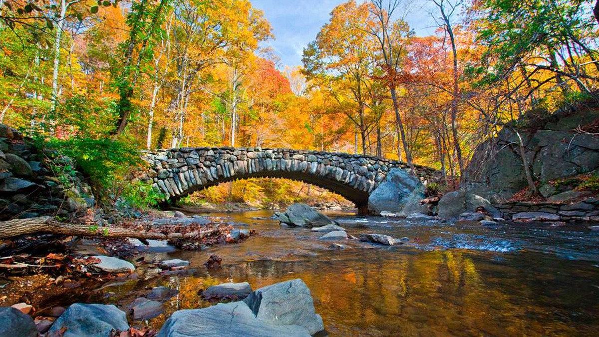 Rock Creek Park | TCLF