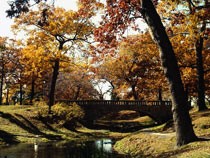 DeeringOaks_CB.jpg Deering Oaks in Autumn