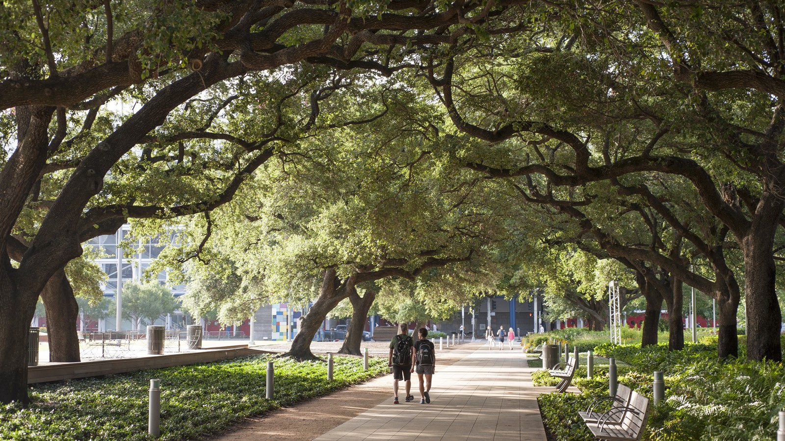 Discovery Green, by Hargreaves Associates