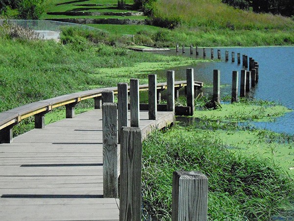 Greenwood Pond: Double Site | TCLF