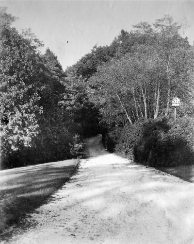Entry road, ca 1910, Sinnissippi Farm, showing typical Simonds curve and dense plantings