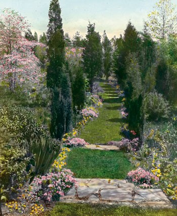 Estate-044-Bacon-16282u.jpg Pathway to Wild Flower Sanctuary, Old Fields, Robert L. Bacon House, Old Westbury, New York, 1921