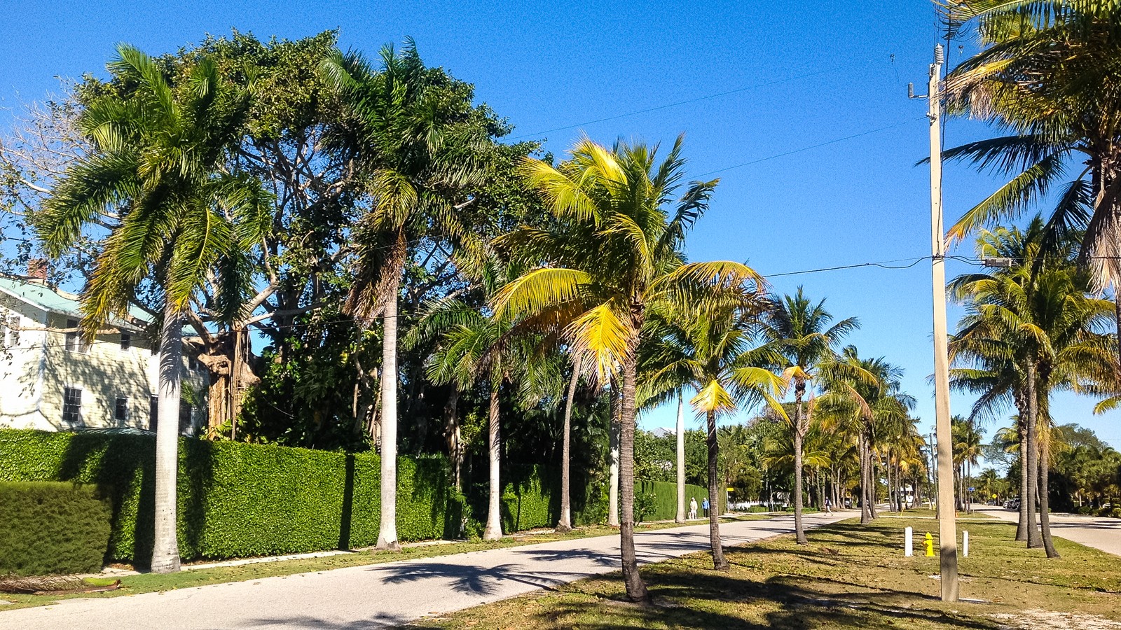 Gilchrist Avenue TCLF