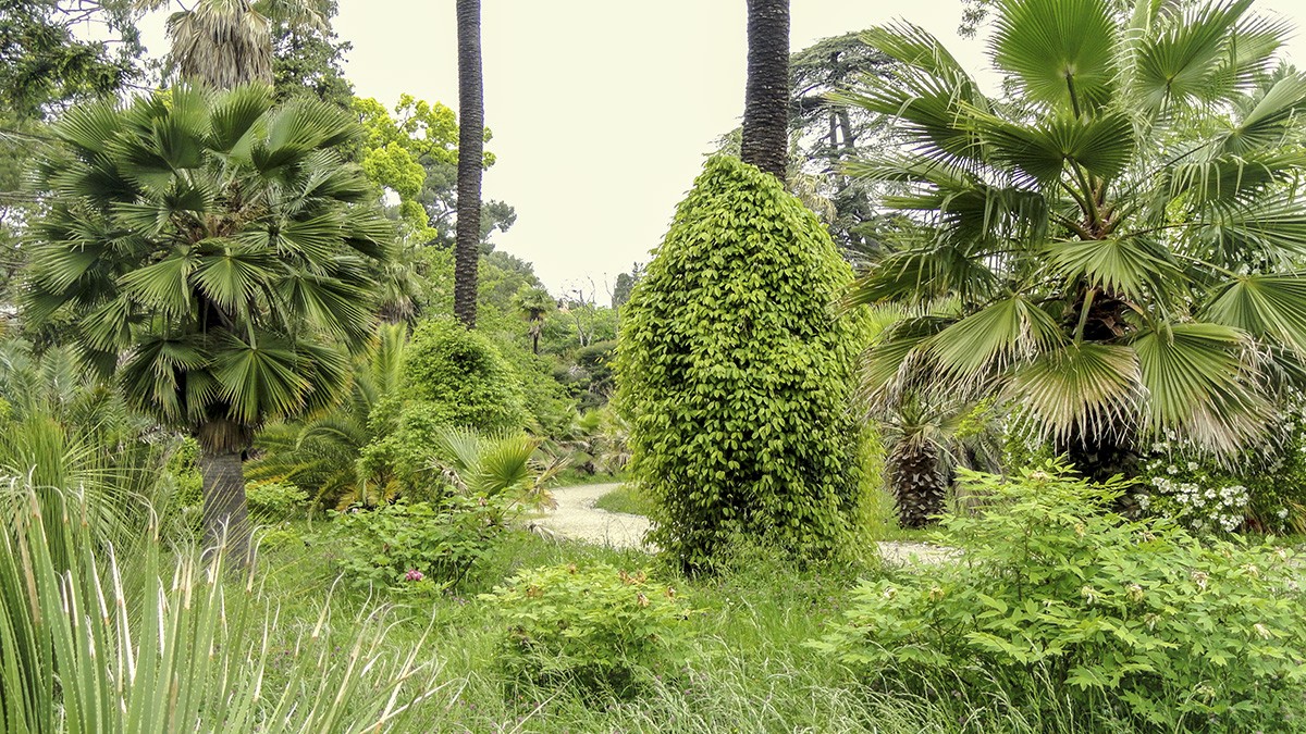 Villa de la Thuret, Antibes, FR