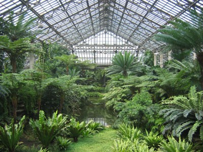 GarfieldParkConservatory_CB.jpg Garfield Park Conservatory