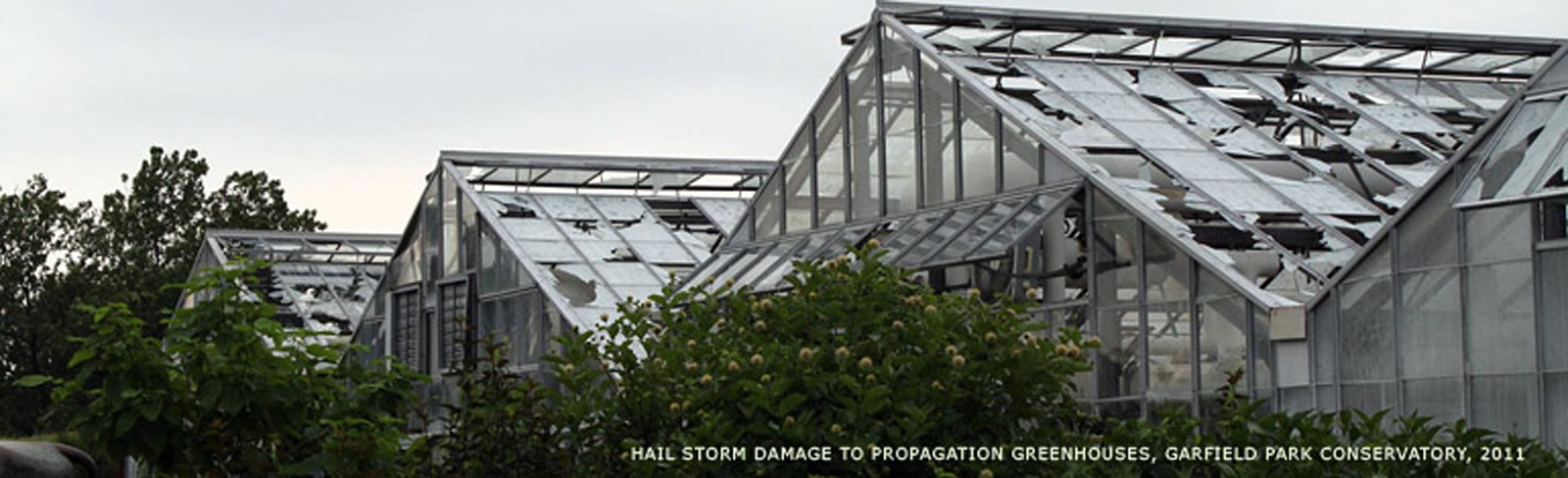 GarfieldParkConservatory_feature_courtesyGarfieldParkConservatory_2011_01.jpg