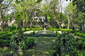 William Gibbes Garden, 2008