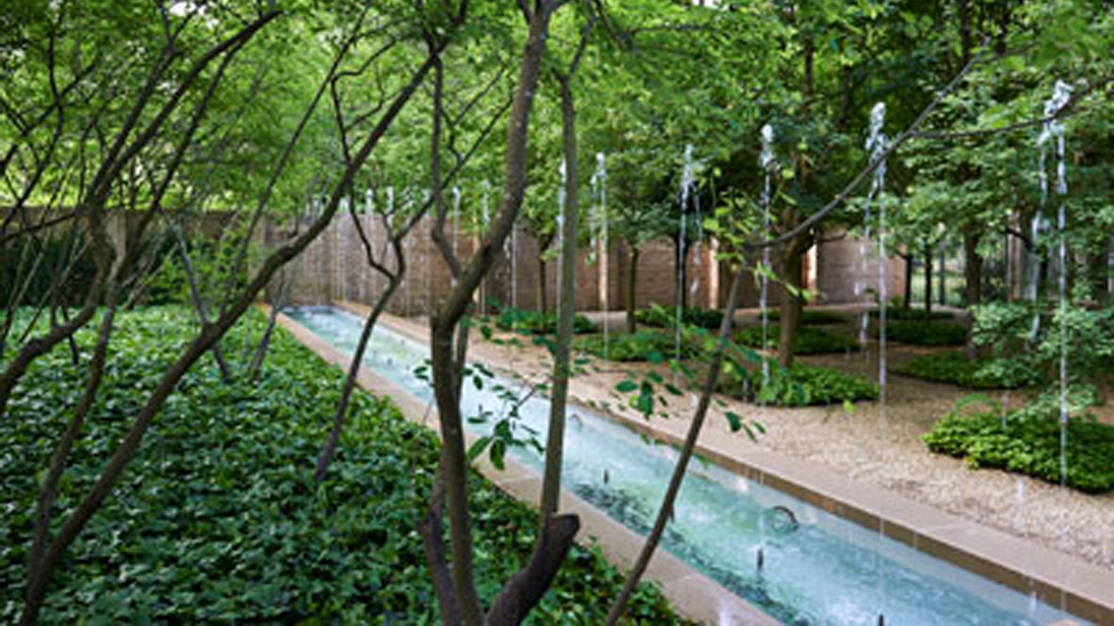 HamiltonGarden_Feature_03_CopyrightMillicentHarvey_2013.jpg Hamilton Garden - Photo copyright Millicent Harvey, 2013