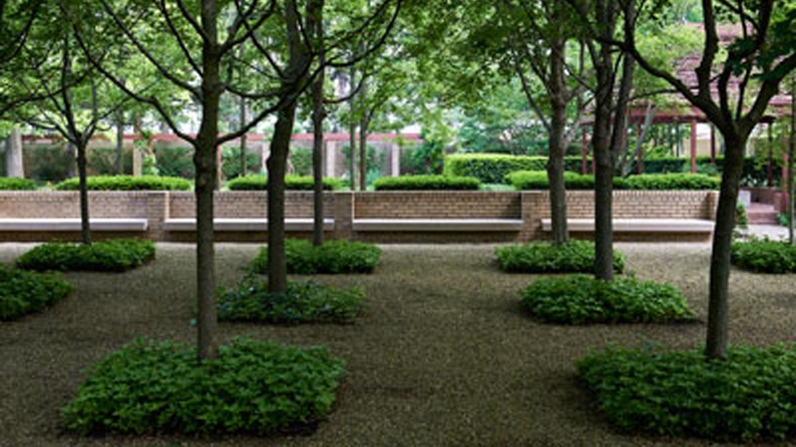 HamiltonGarden_Feature_04_CopyrightMillicentHarvey_2013.jpg Hamilton Garden - Photo copyright Millicent Harvey, 2013