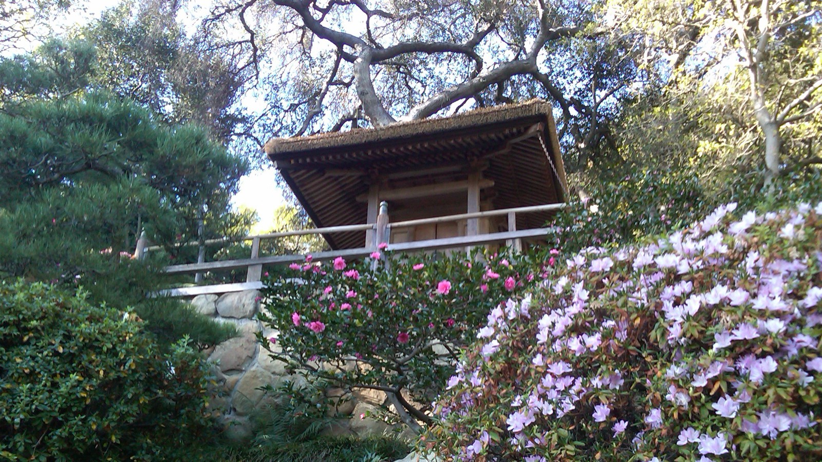 HannahCarterJapaneseGarden_feature_courtesyRMichaelRich_2012_01.jpg Hannah Carter Japanese Garden
