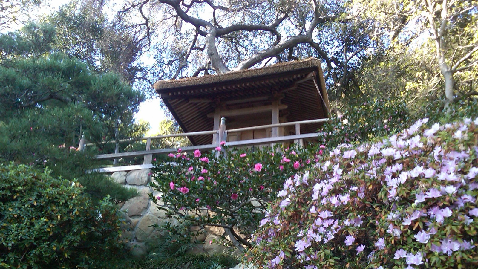 Hannah Carter Japanese Garden