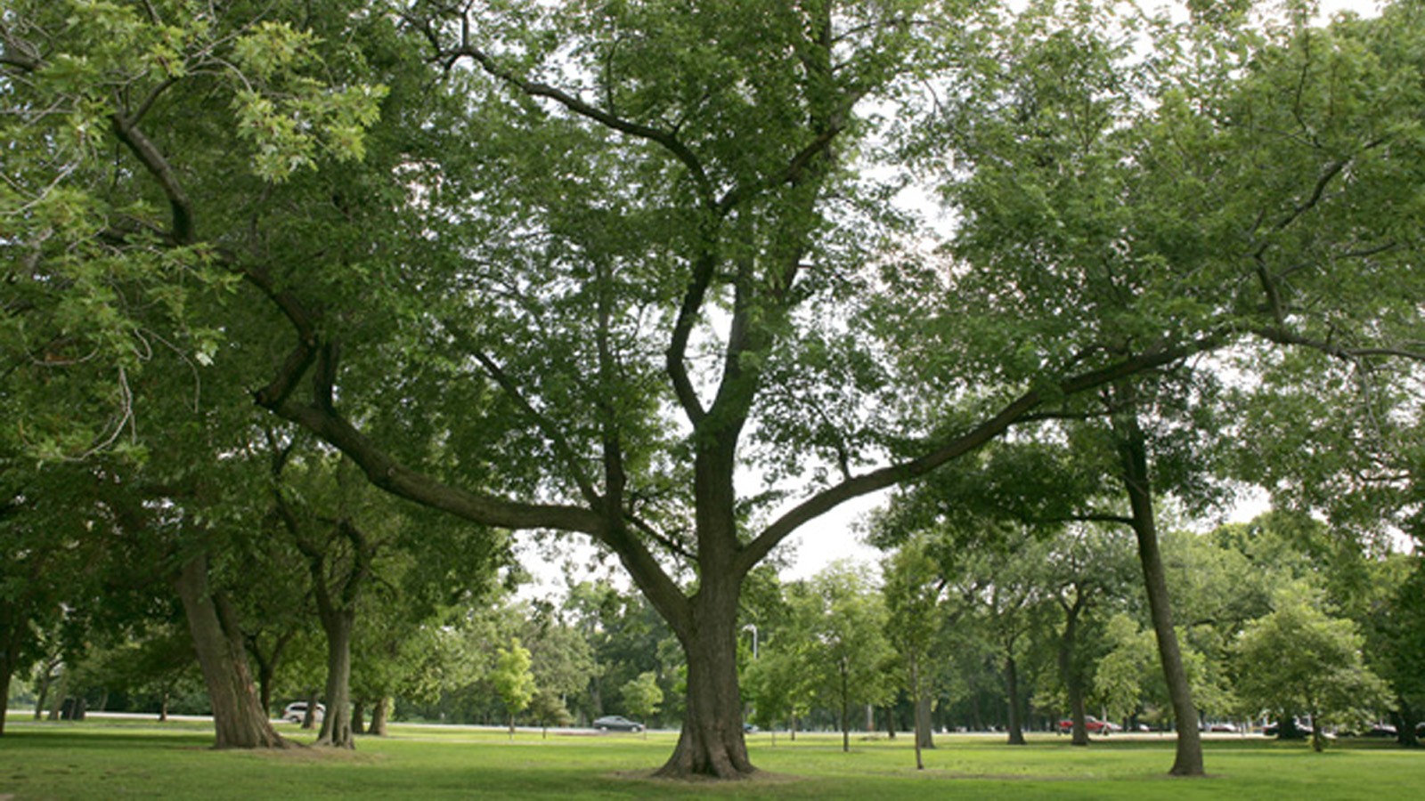 Washington Park