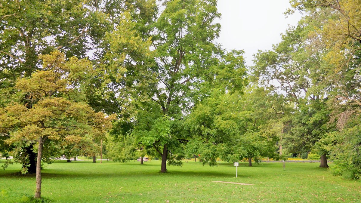 Indianapolis Park and Boulevard System TCLF