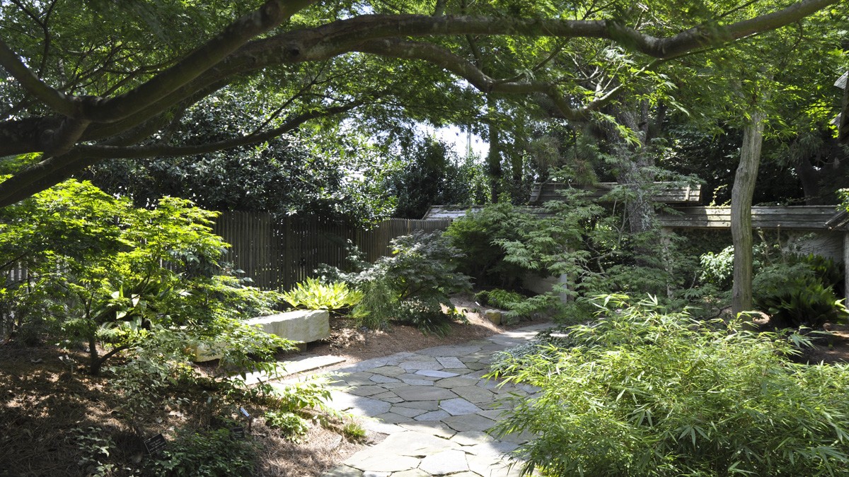 JC Raulston Arboretum | TCLF