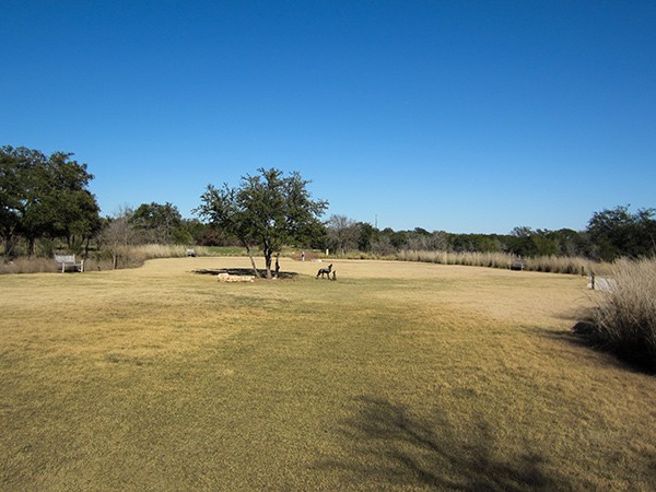 Lady Bird Johnson Wildflower Center | TCLF