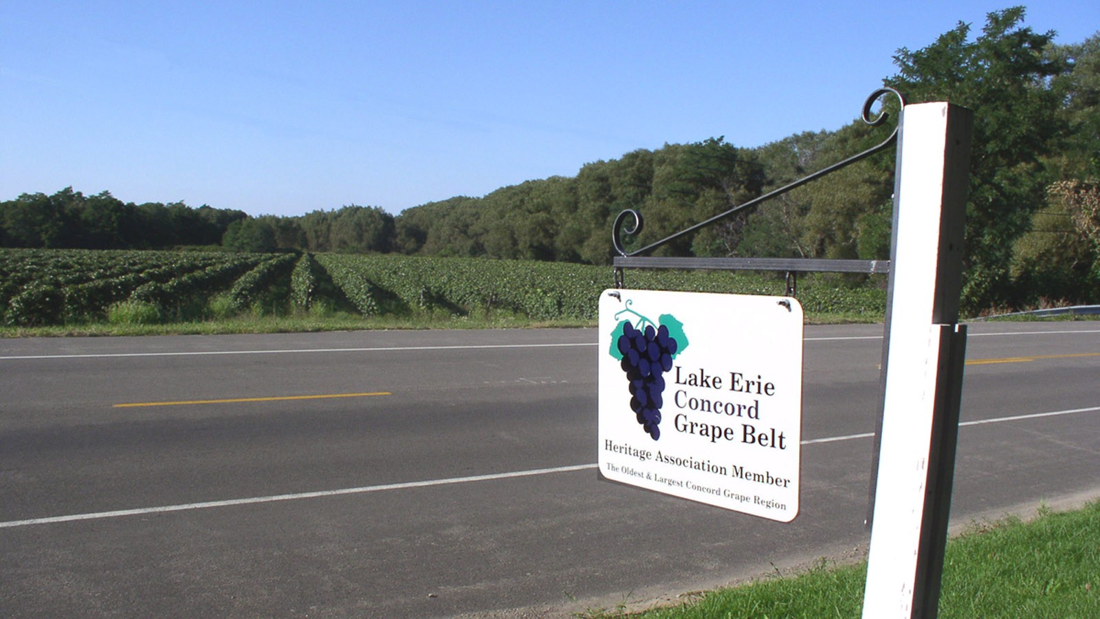 LakeErieConcordGrapeBelt_Feature_02_CourtesyDuncanHilchey.jpg The Lake Erie Concord Grape Belt, Chautaqua County, NY. A sign across the street from a vineyard proudly proclaims a grower's membership in the Lake Erie Concord Grape Belt Heritage Association - Photo courtesy Duncan Hilchey