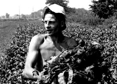 LarryHalprin01_inline.jpg Larry Halprin, around age 16, on the kibbutz "Ein Hashofet"