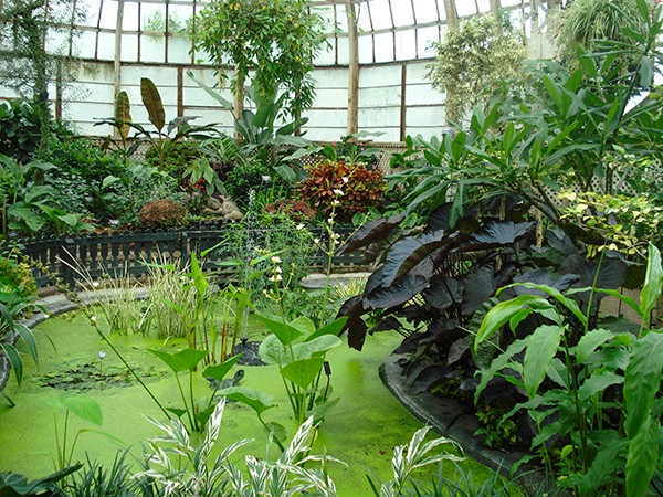 Lincoln Park Conservatory | TCLF