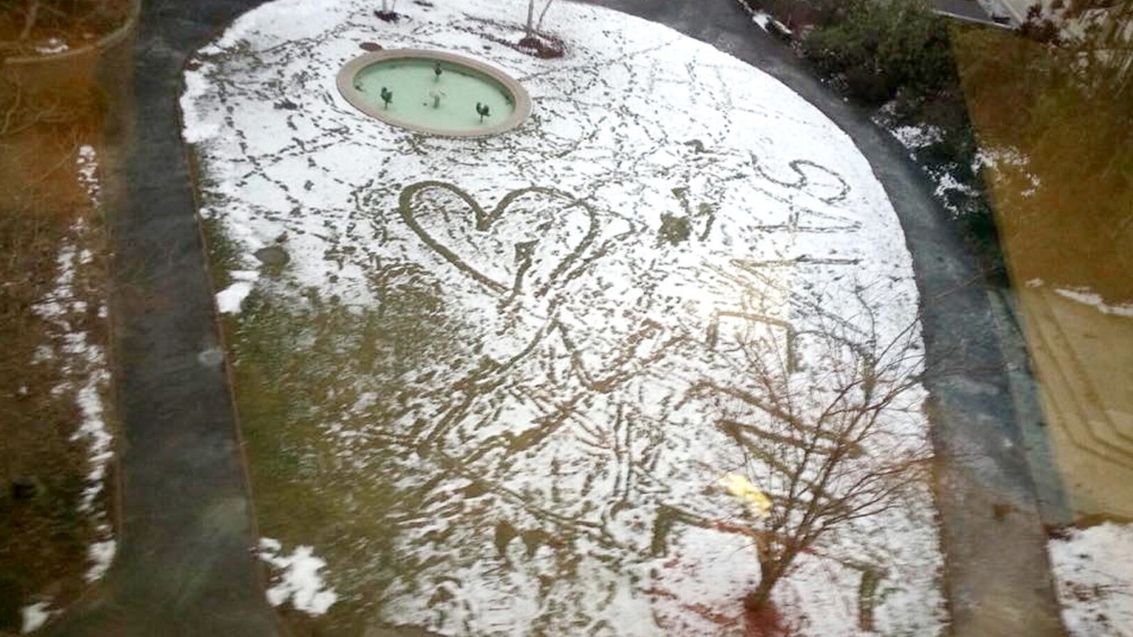 MA_Boston_ProutyGarden_feature_02_MichaelRich_2016.jpg The Prouty Garden in a recent snowstorm with a plea from a patient’s family—“SAVE ME.”