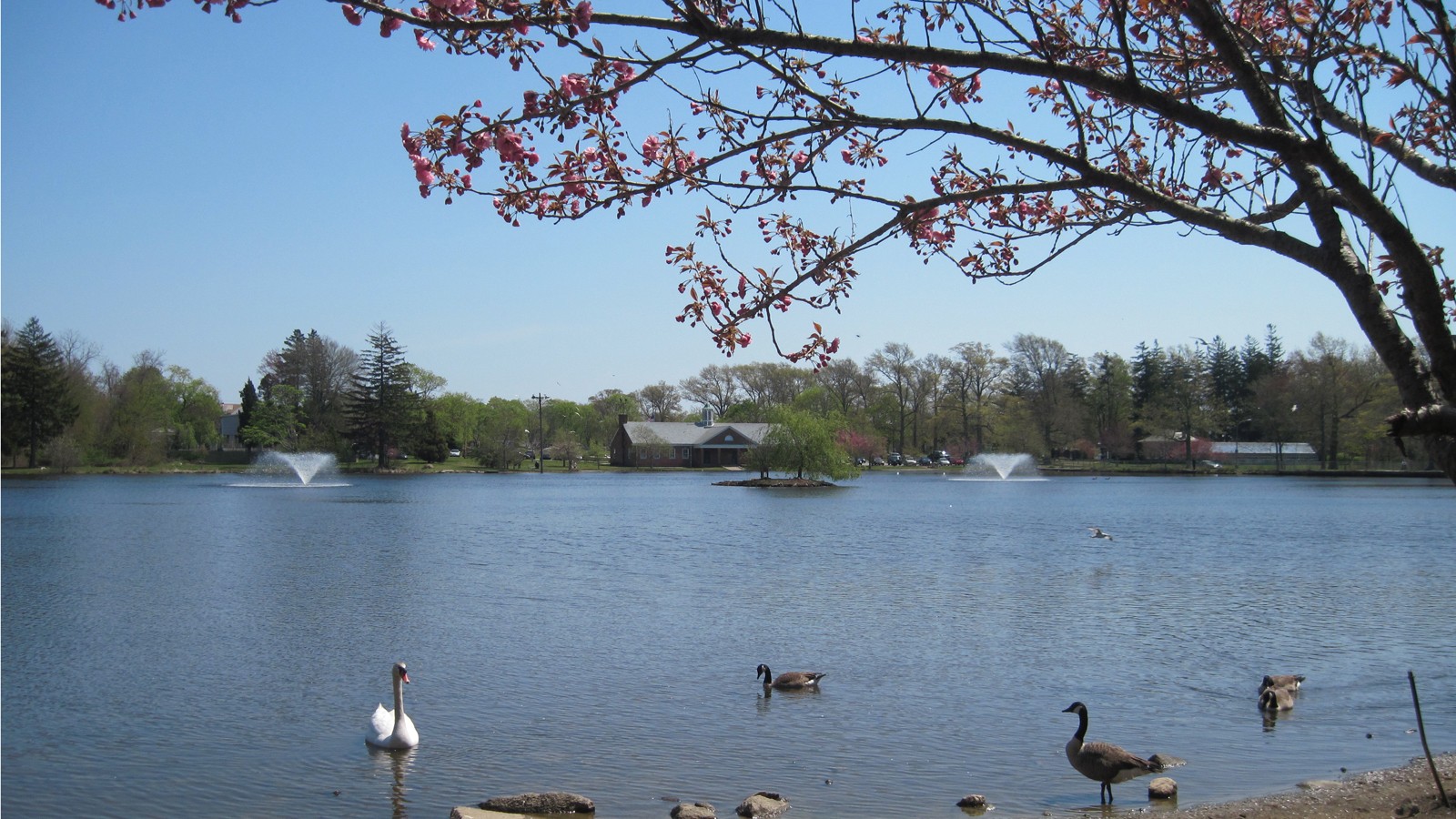 Buttonwood Park, New Bedford, MA