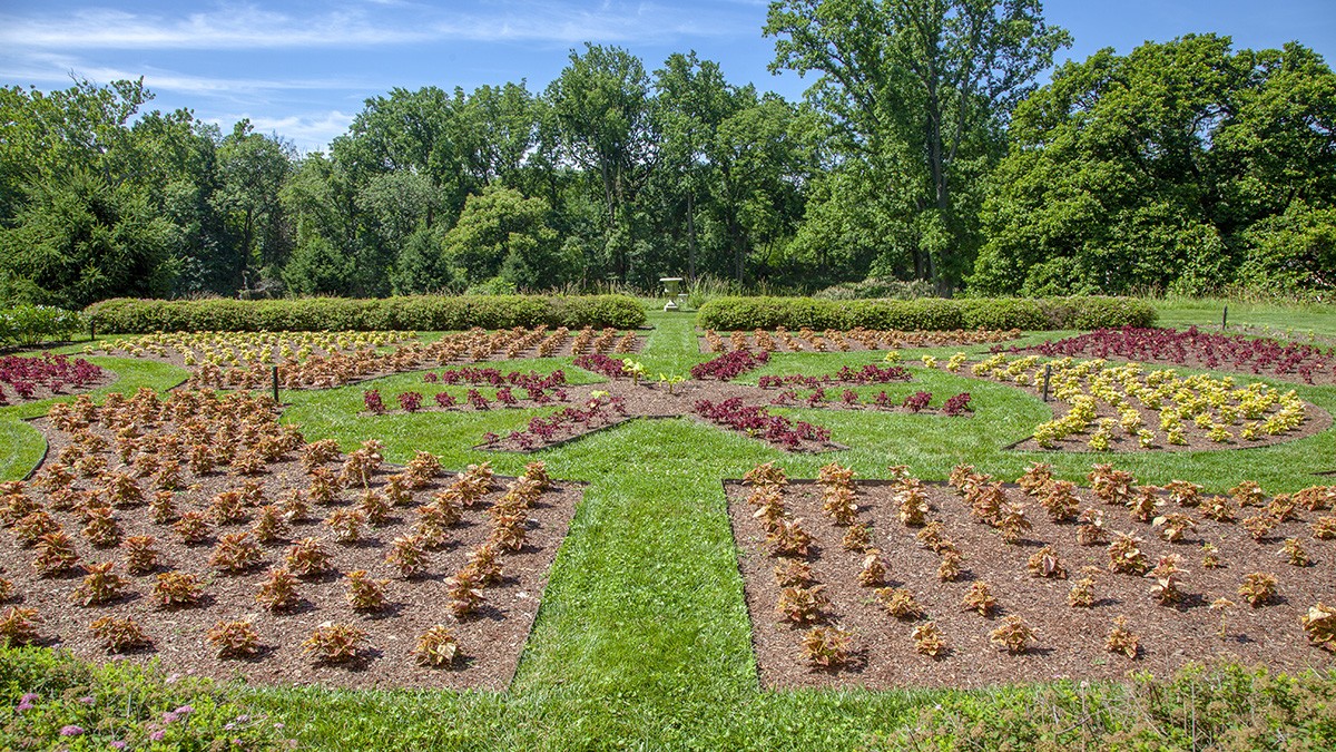 Hampton National Historic Site | TCLF